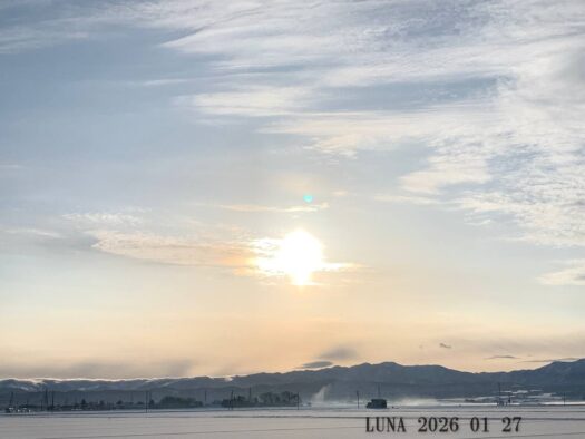 ルナ ダイアリー | 心新たに氷点下の朝