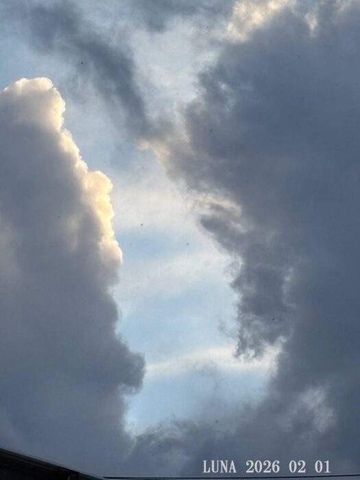 いー庄内ドットコム | 麗しい青空　誕生日まで残り五日