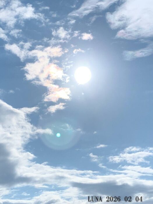 ルナ ダイアリー | 雪明りの太陽　誕生日まで残り二日