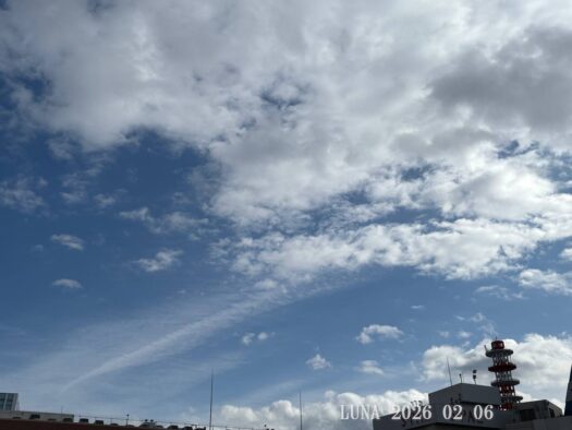 ルナ ダイアリー | 輝かしい今日の主役　