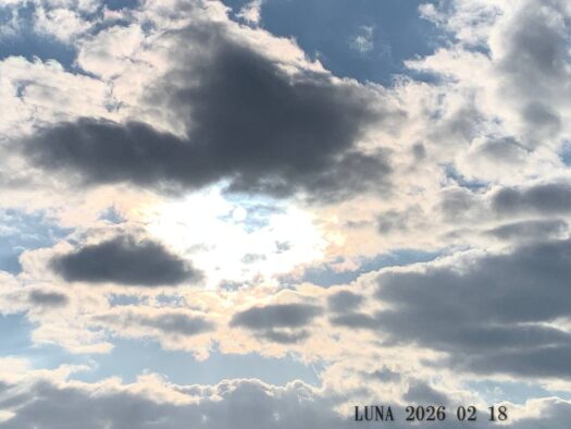 ルナ ダイアリー | 清々しい　朝晴れよる雨