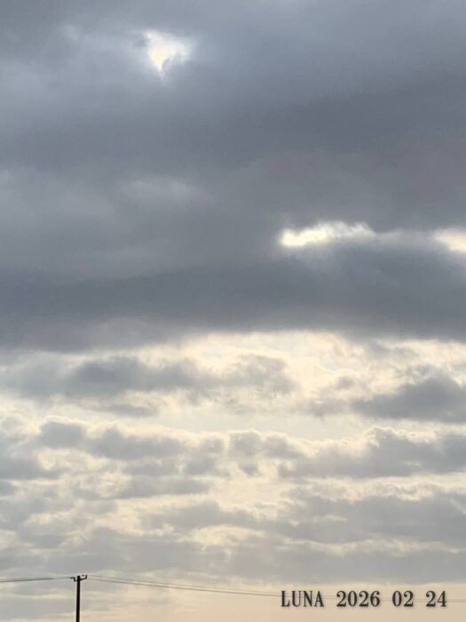 ルナ ダイアリー | 心晴れる　涼風