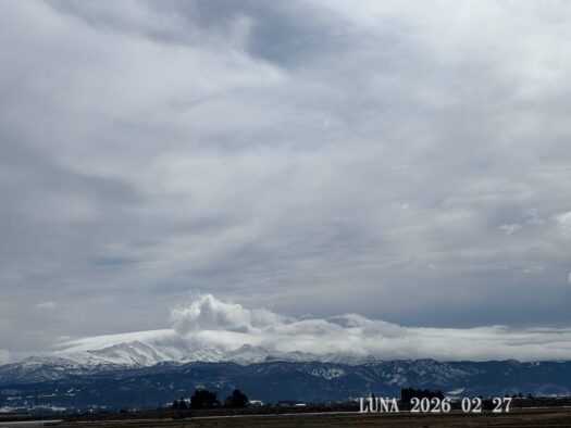 いー庄内ドットコム | ゆっくりマイペース休日