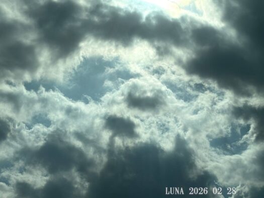 ルナ ダイアリー | ぐずついた天気もまたよし