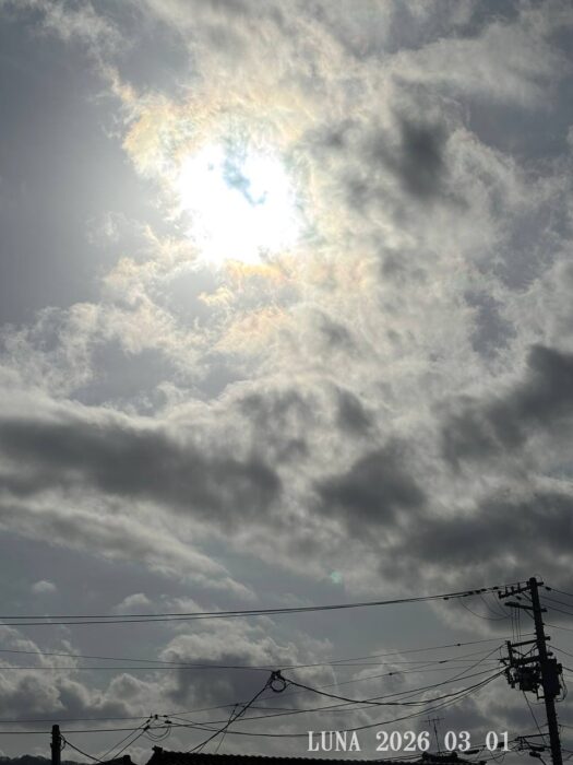 ルナ ダイアリー | 太陽現る 今日から弥生 ルナ ダイアリー | 太陽現る 今日から弥生