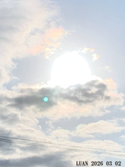 いー庄内ドットコム | 心地よい　朝に舞う夕日