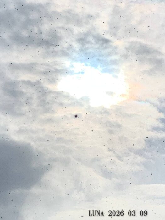 いー庄内ドットコム | 清々しい春雪