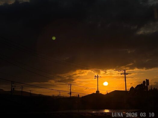 ルナ ダイアリー | 穏やかな一日