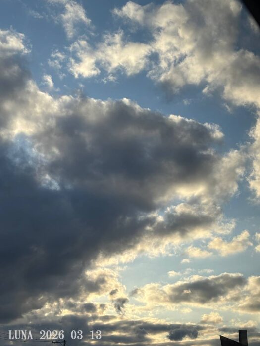 ルナ ダイアリー|輝かしい春色