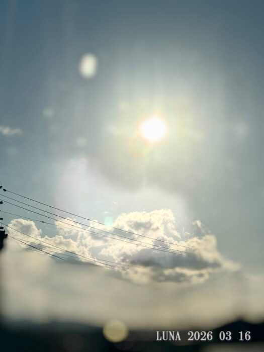 ルナ ダイアリー | 輝かしい　春陽