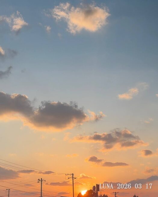 ルナ ダイアリー|麗しい春の夕暮れ