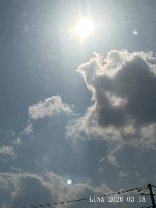 ルナ ダイアリー|感動　真夏日