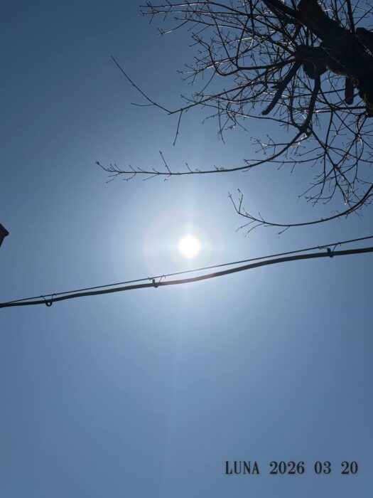 ルナ ダイアリー|感動的な麗らか