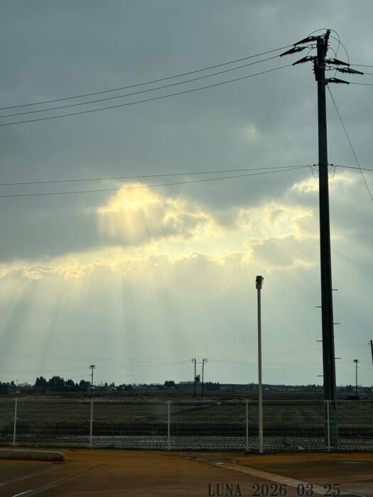 ルナ ダイアリー|喜ばしい光芒