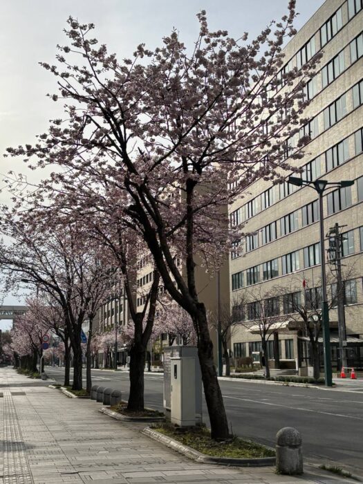 ルナ ダイアリー | ゆったりとオラクル占い