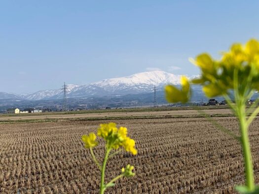 ルナ ダイアリー | 輝け　希望の娘