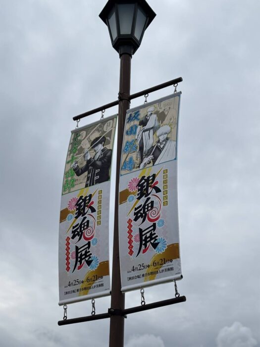 ルナ ダイアリー | 心弾む推活銀魂その三