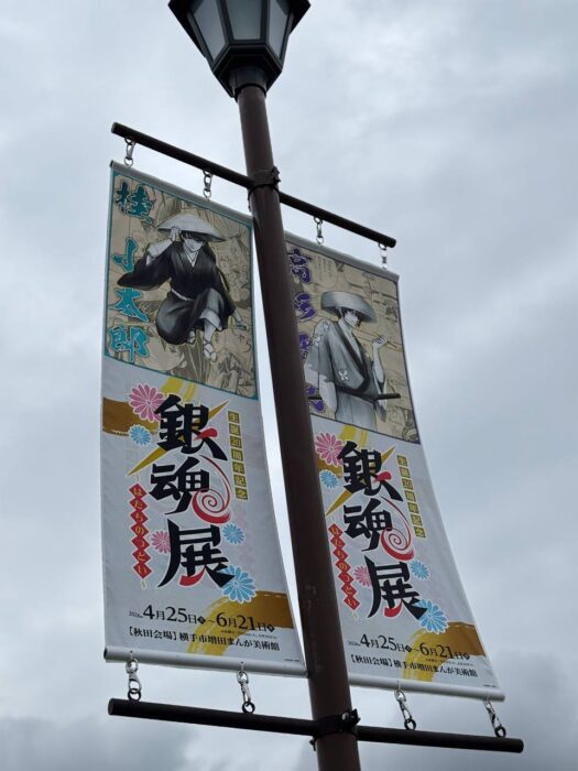 ルナ ダイアリー | 心弾む推活銀魂その三