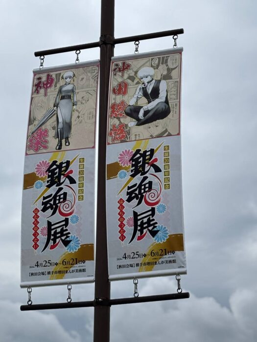 ルナ ダイアリー | 心弾む推活銀魂その三