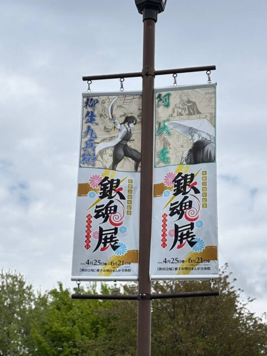 ルナ ダイアリー | 心弾む推活銀魂その三