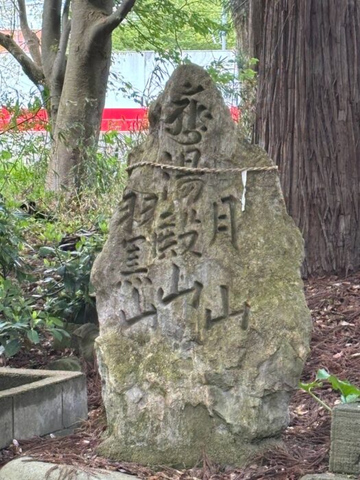 ルナ ダイアリー | 驚き　横手市増田