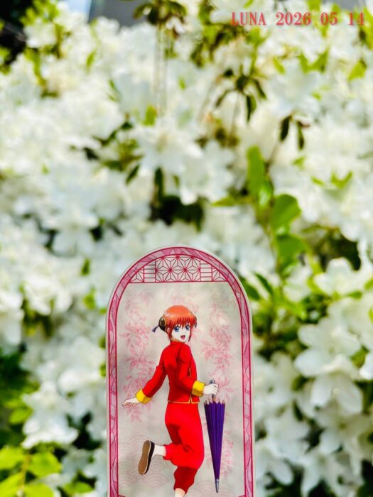 ルナ ダイアリー | 胸がときめく　推しとデート