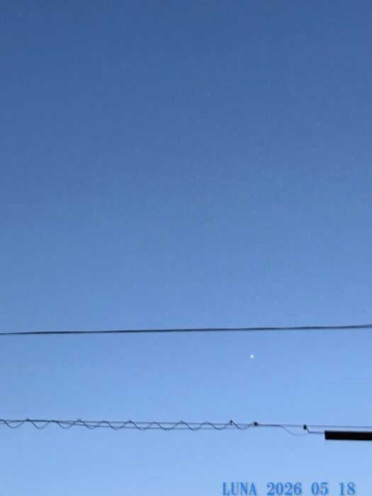 ルナ ダイアリー | 何光年も前の星の輝きが、今夜の私をそっと照らしてくれる