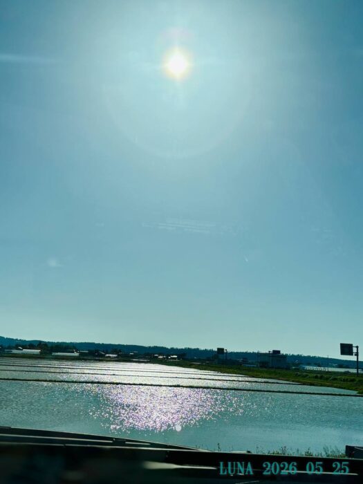 ルナ ダイアリー | 気持ち　すっきりリセット