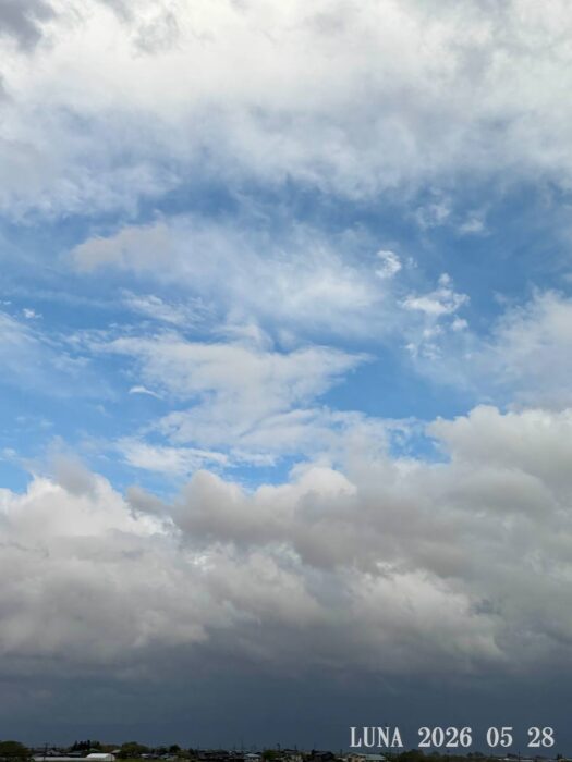 ルナ ダイアリー | 心にそっと見える青空
