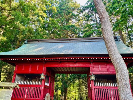 ルナ ダイアリー | 心リフレッシュ 出羽三山神社 ルナ ダイアリー | 心リフレッシュ 出羽三山神社