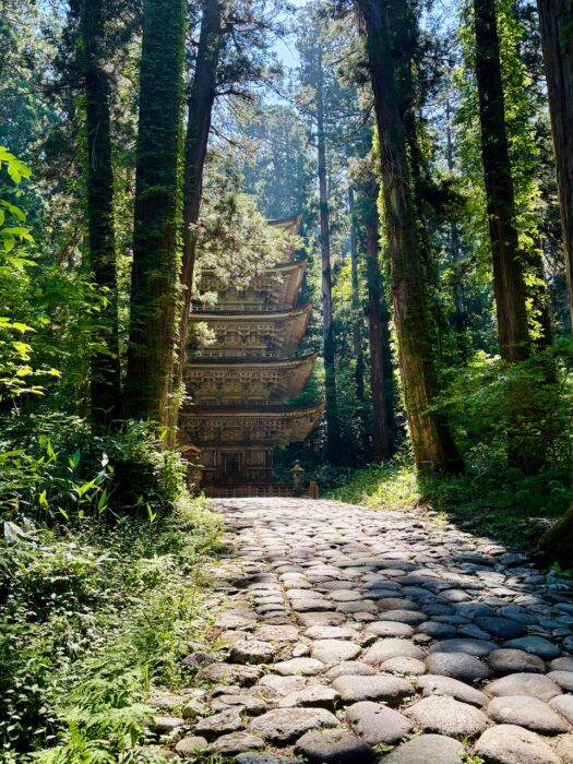 ルナ ダイアリー | 心リフレッシュ 出羽三山神社 ルナ ダイアリー | 心リフレッシュ 出羽三山神社