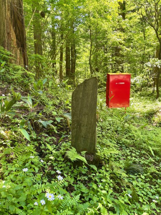 ルナ ダイアリー | 心リフレッシュ 出羽三山神社 ルナ ダイアリー | 心リフレッシュ 出羽三山神社