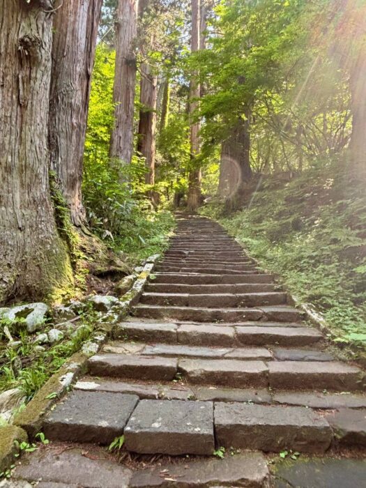 ルナ ダイアリー | 心リフレッシュ 出羽三山神社 ルナ ダイアリー | 心リフレッシュ 出羽三山神社