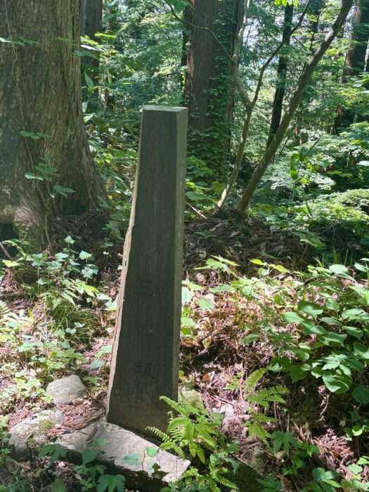 ルナ ダイアリー | 心リフレッシュ 出羽三山神社 ルナ ダイアリー | 心リフレッシュ 出羽三山神社