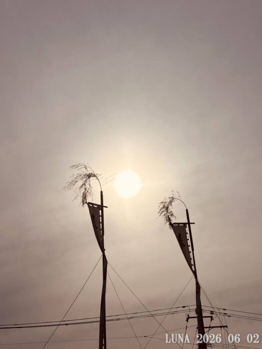 ルナ ダイアリー | 期待大の太陽写真