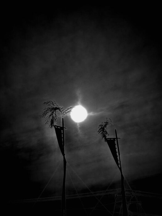 ルナ ダイアリー | 期待大の太陽写真