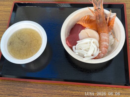 ルナ ダイアリー | ワクワク家族観光 お昼ご飯編 ルナ ダイアリー | ワクワク家族観光 お昼ご飯編