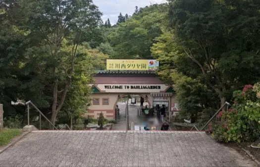 山形インフォメーション | たのしい。ダリアが沢山咲いています「川西ダリア園」川西町