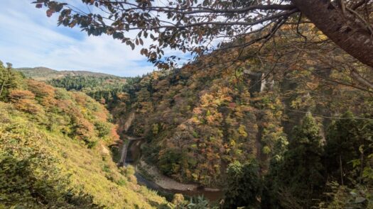 ミスト・ダイアリー | 絶景が素晴らしい「宮城県」