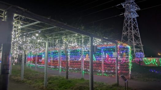 ミスト・ダイアリー | とっても綺麗なイルミネーション「藤島歴史公園、Hisu花（ヒスカ）」鶴岡市