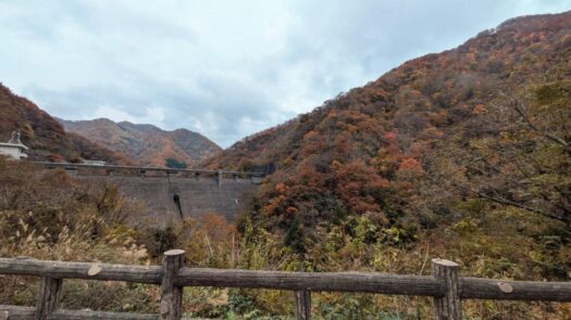 ミスト・ダイアリー | カラスも見に来る景色「温海川ダム」鶴岡市