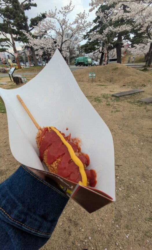 ミスト・ダイアリー | たのしい。ビョーンと伸びるチーズハットグ「鶴岡公園」鶴岡市