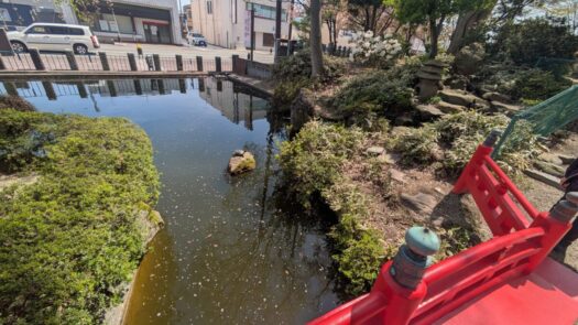 ミスト・ダイアリー | 急に現れて驚きました「日枝神社(下山王)」鶴岡市