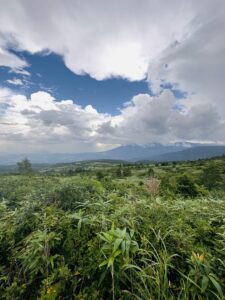 なお ダイアリー | 東北四県横断