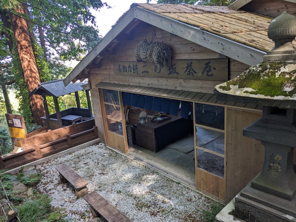 Good Luck Stream | 山形県鶴岡市の羽黒山で楽しいトレーニング