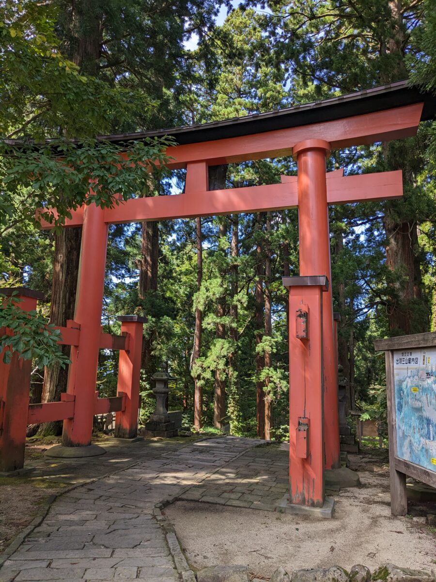 Good Luck Stream | 山形県鶴岡市の羽黒山で楽しいトレーニング