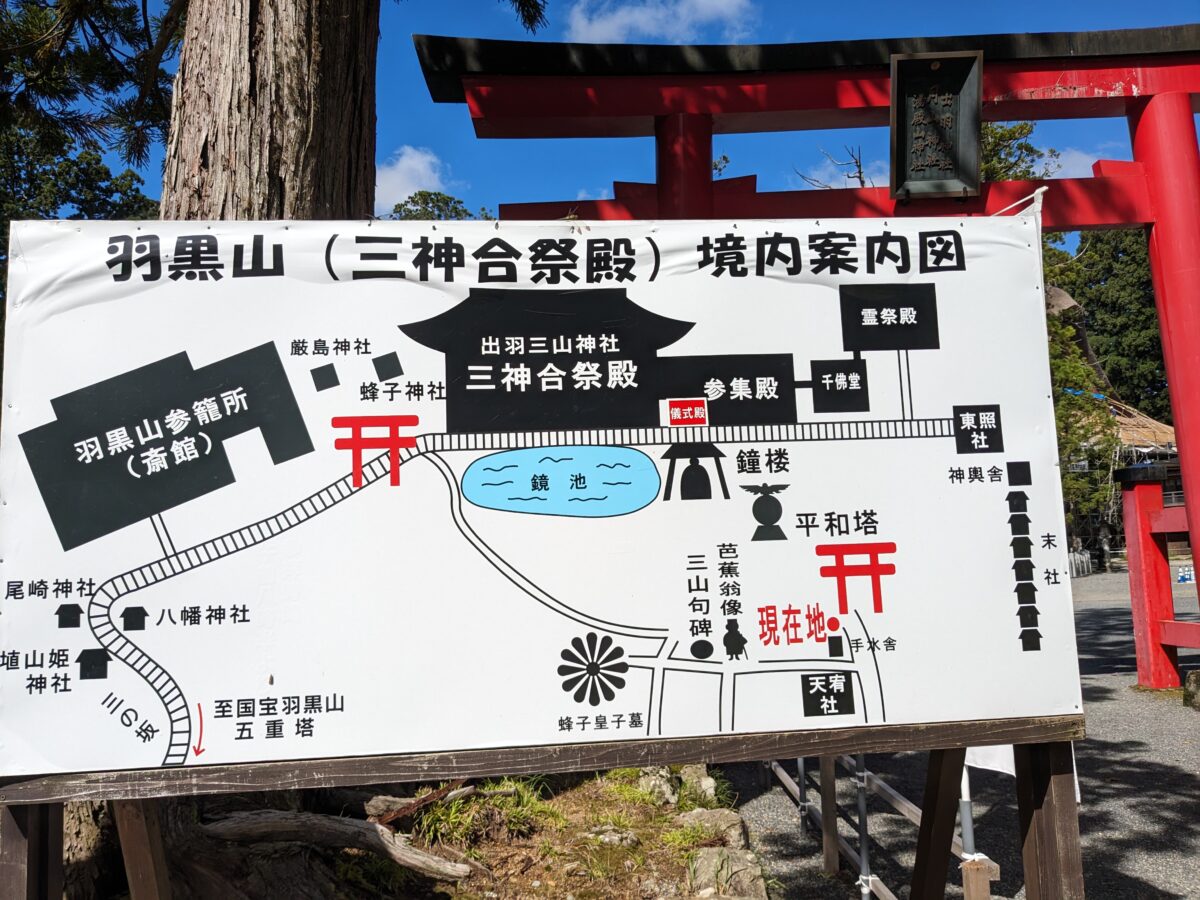 Good Luck Stream | 山形県鶴岡市の羽黒山で楽しいトレーニング