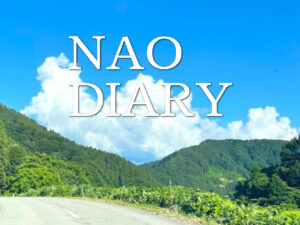 パーフェクト ダイアリー ™ | NAO DIARY 想い出の日記