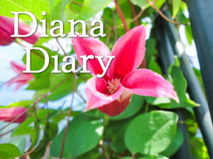 diana_diary