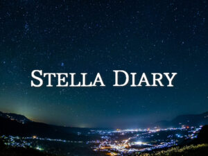 パーフェクト ダイアリー ™ | STELLA DIARY ステラ・ダイアリー 自分の好きなことを書き綴る日記